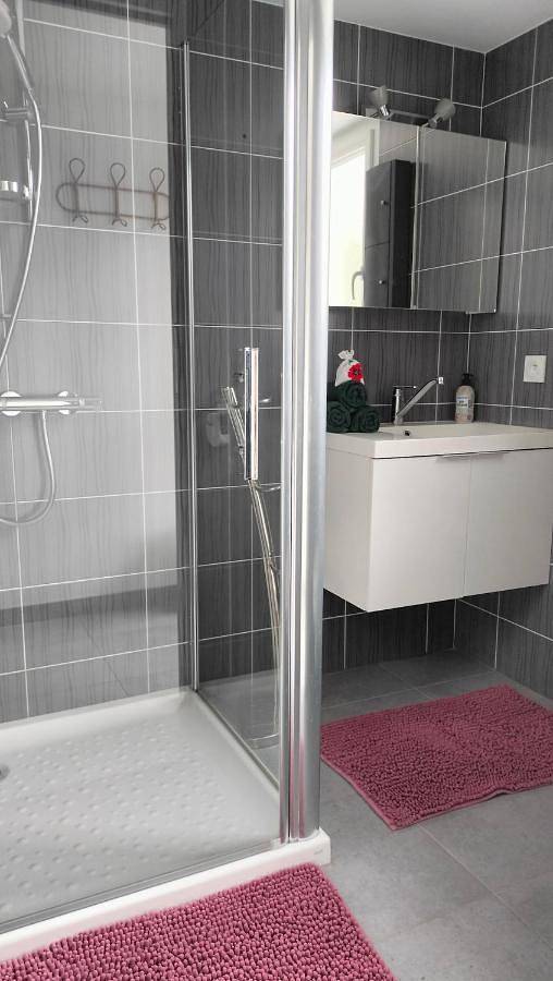 Location de vacances pour 4 personnes, avec terrasse à Saint-Hilaire-le-Vouhis - 2