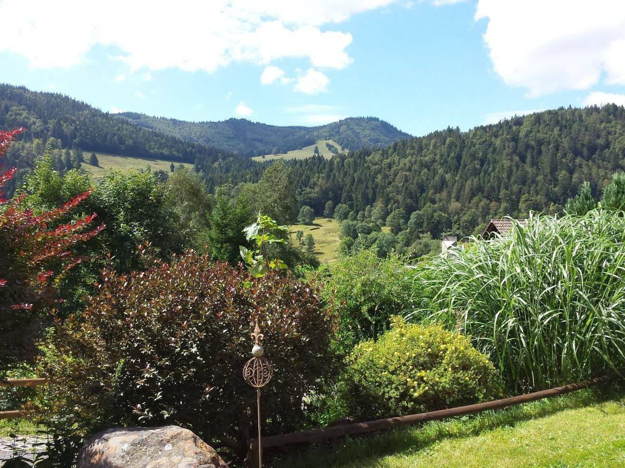 Appartement entier, Haus Schäfer in St. Blasien, Forêt-Noire du Sud