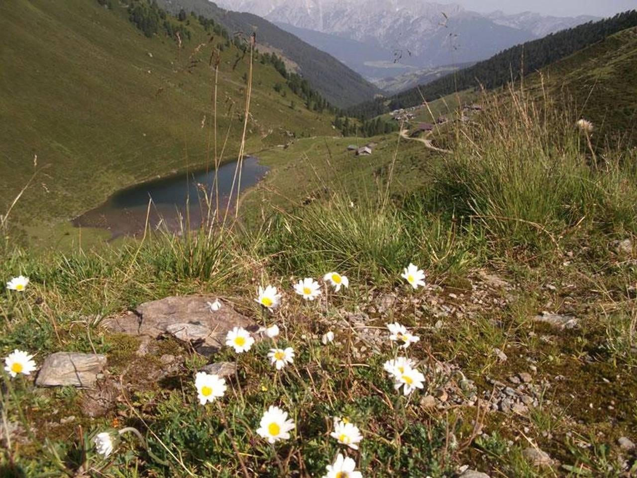 Ganze Ferienwohnung, Ferienwohnung Maria & Luis - Apartment Sternenhöhle in Tuxer Alpen, Kolsassberg