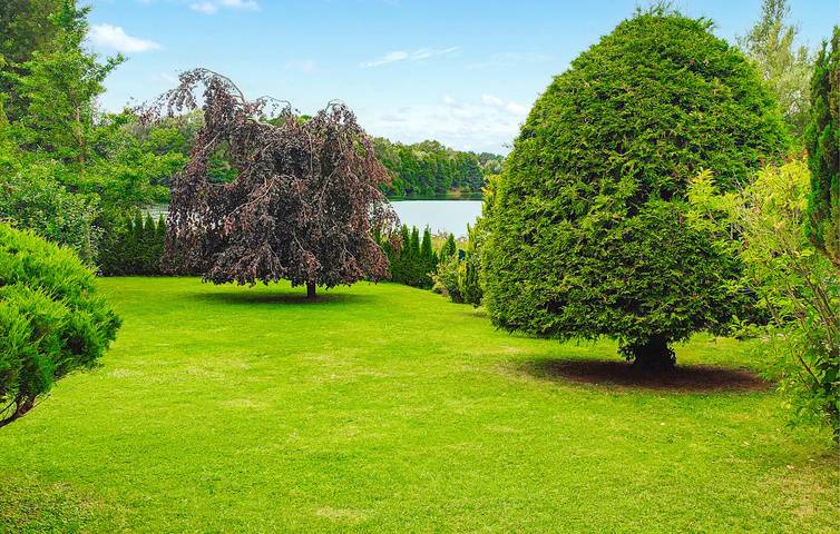 Ferienhaus für 4 Personen, mit Terrasse und Seeblick sowie Garten in Wokuhl-Dabelow - 3