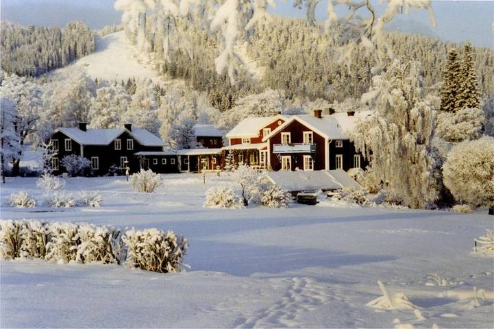 Hotell för 2 Personer, med Terass samt Bubbelpool och Trädgård och Pool i Järvsö