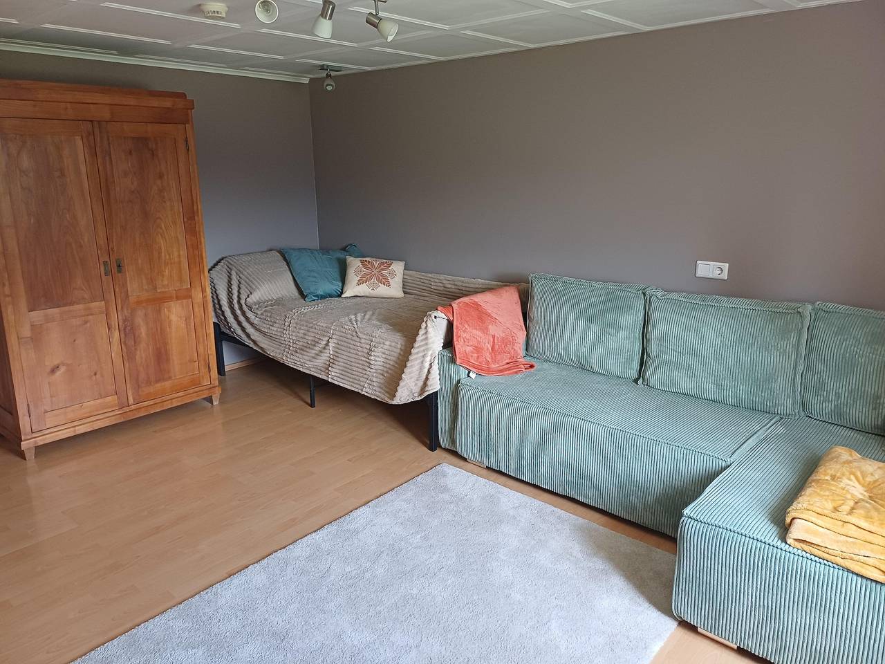 Ganze Ferienwohnung, Appartement/Fewo, Dusche, Wc, 1 Schlafraum in Thüringerberg, Bezirk Bludenz