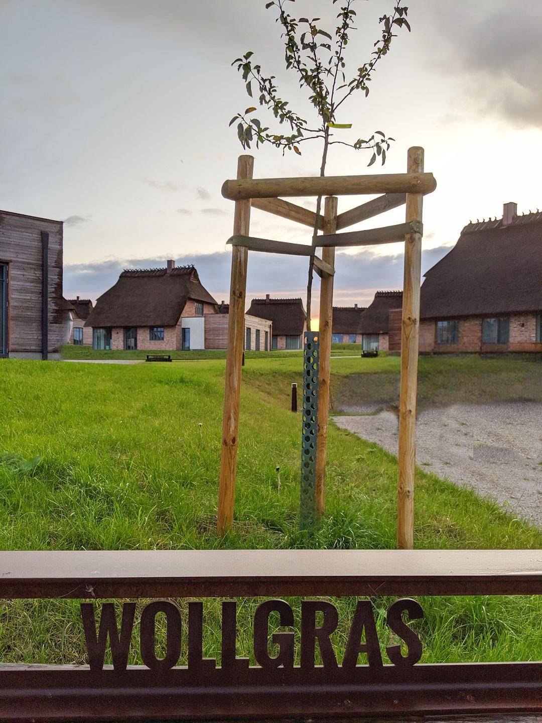 Malerhaus Wollgras, das Reetdoppelhaus für 4-5 Personen mit schönem Birkblick. in Geltinger Birk, Nieby