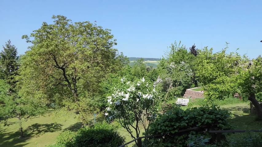 Ferienwohnung für 3 Personen, mit Terrasse und Garten in Michelstadt - 3