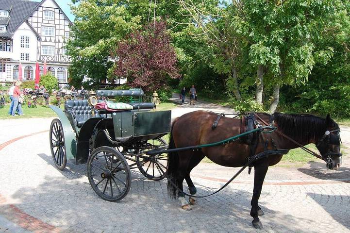 Ganze Wohnung, Ferienwohnung Hitthim - Ferienwohnung Hafenblick in Kloster, Hiddensee