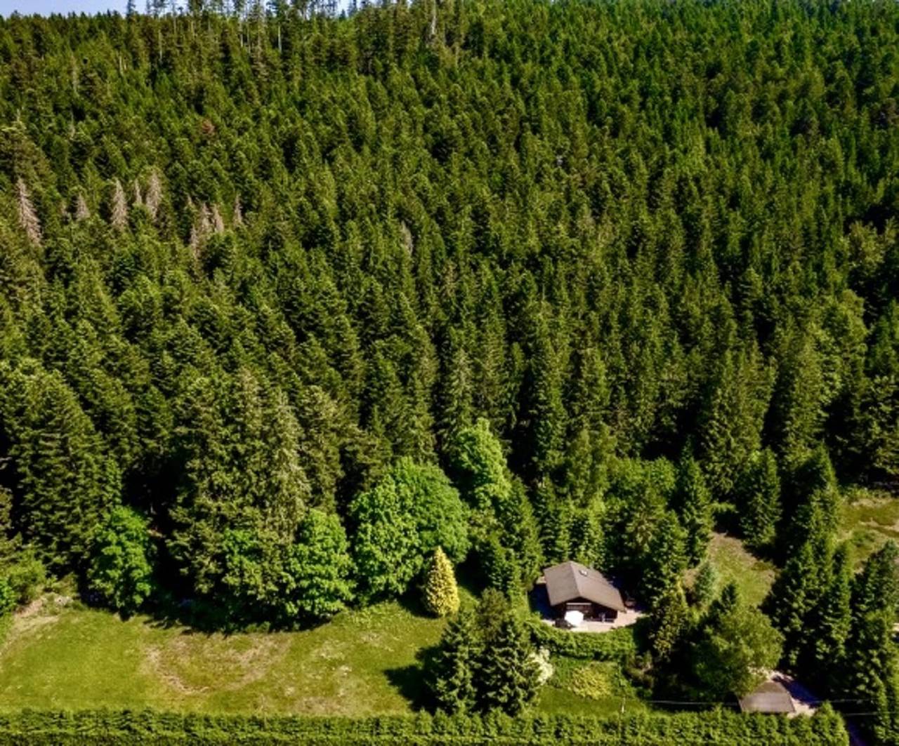 Petit Paradis à l'abri des regards :) in Liézey, Parc naturel régional des Ballons des Vosges