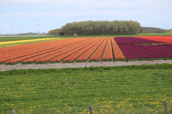 Ferienhaus für 6 Personen, mit Garten