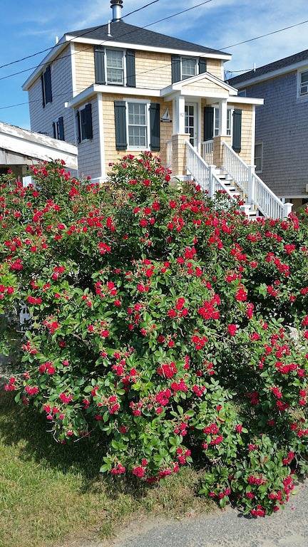 Direct Ocean Front Home gerade renoviert, oben nach unten in 2015 in Marshfield, Massachusetts