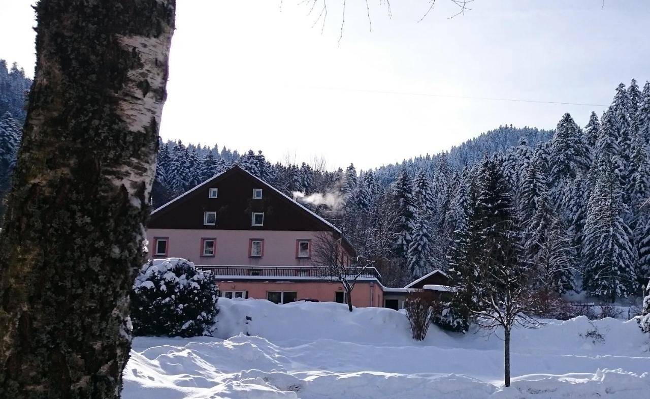 Hôtel du Ô des Bluches in La Bresse, Parc naturel régional des Ballons des Vosges
