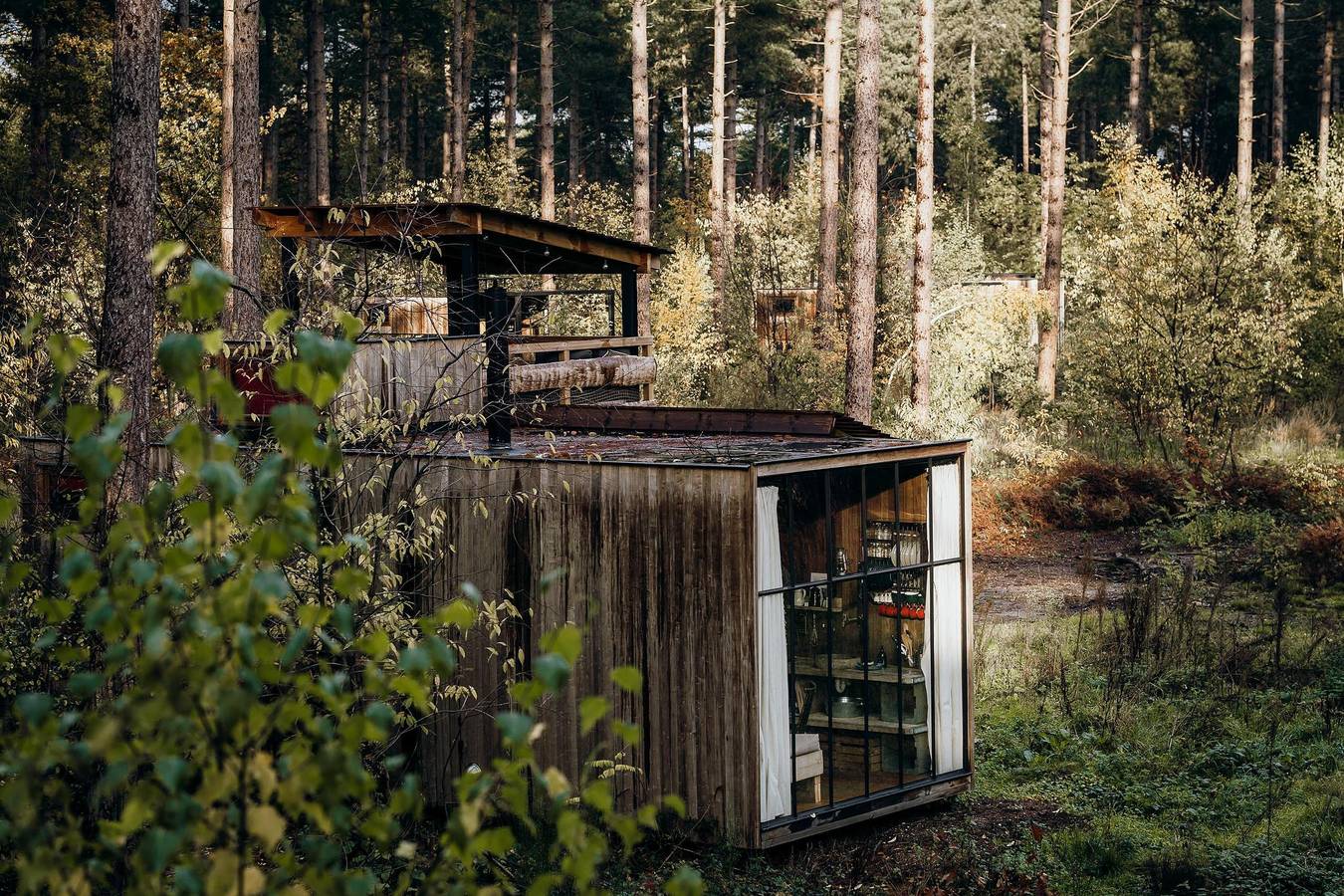 Recreatiedomein Warredal — Treetrunk in Maaseik, Hoge Kempen