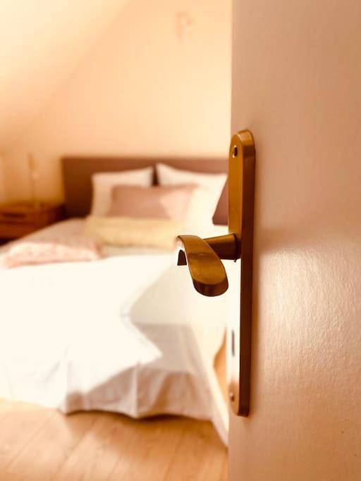 Location de vacances pour 6 personnes, avec sauna et piscine ainsi que jardin et jacuzzi à Ploërdut - 2