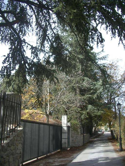 Location de vacances pour 5 personnes, avec Terrasse ainsi que Jardin et Vue à Alfacar - 3