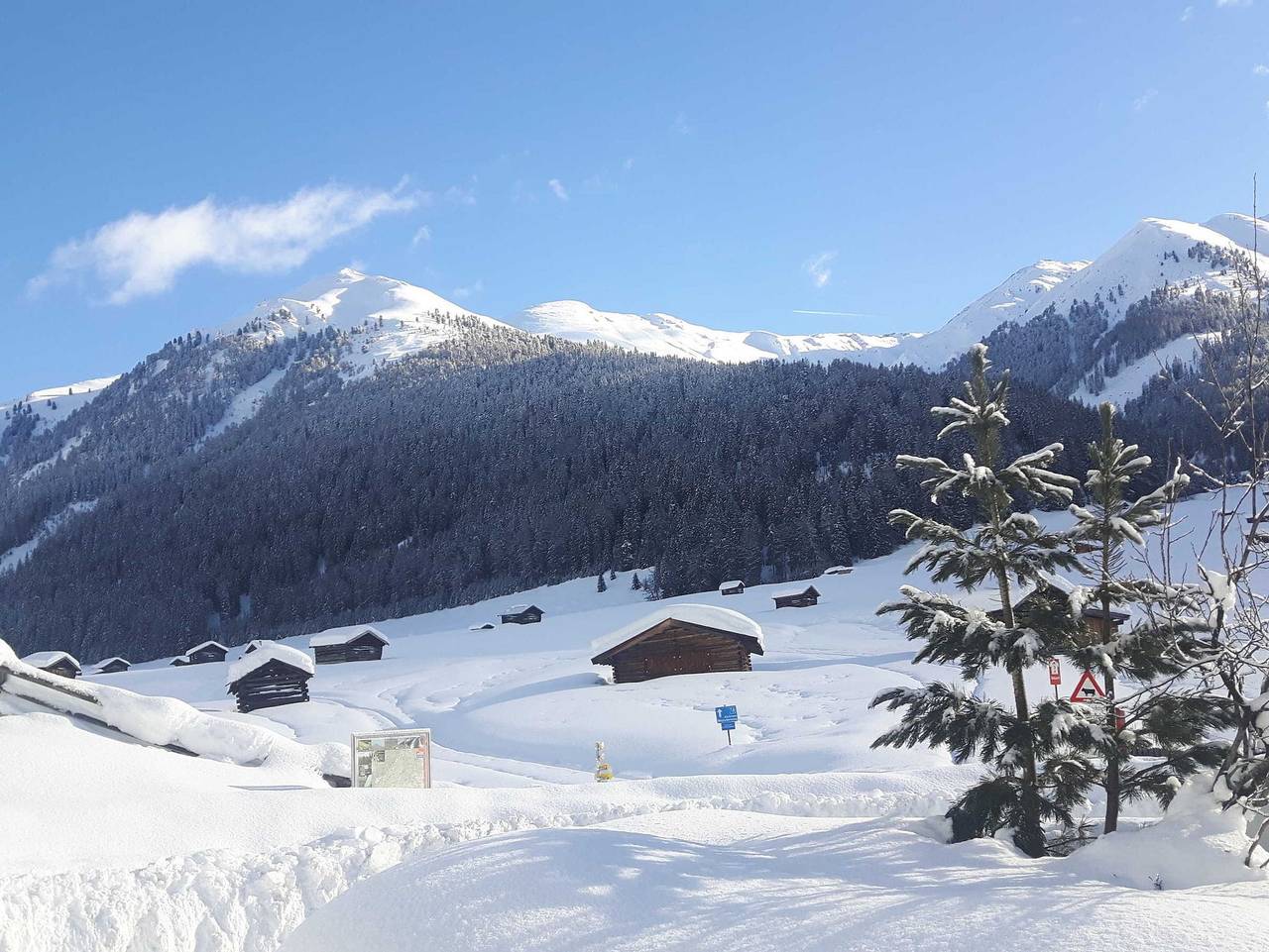 Alblerhof - Ferienwohnung (2-5 Personen) in Nauderer Berge, Pfunds