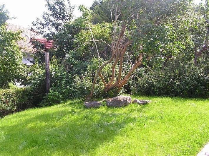 Ferienhaus für 4 Personen, mit Terrasse in Lohme - 4