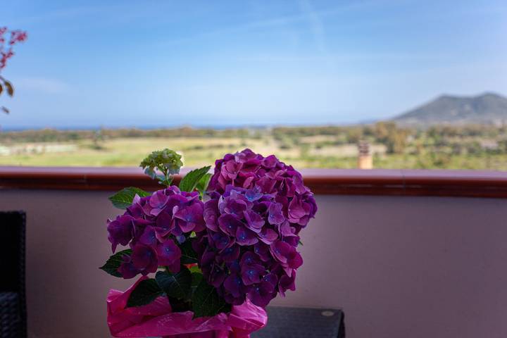 Entire apartment, Holiday Apartment "Suite Maya" with Sea view and Wi-Fi in Flumini, Posada