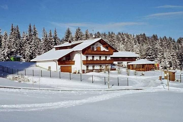 Ganze Wohnung, Feriendomizil mit Balkon inmitten des Bay. Waldes in Neureichenau, Šumava Mountains