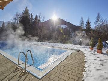 Vakantieappartement voor 4 Personen in Viehhofen, Kitzbüheler Alpen, Afbeelding 1