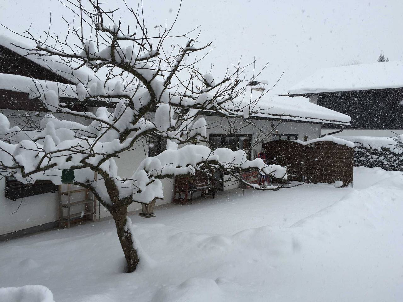Ganze Ferienwohnung, Ferienwohnungen Haus Eva Hagn in Sonnenmoos, Rottach-Egern