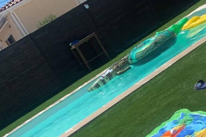 Location de vacances pour 6 personnes à Saint-Saturnin-lès-Avignon - 4