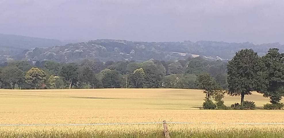Location de vacances pour 6 personnes, avec terrasse et jardin à Lonlay-l'Abbaye - 4