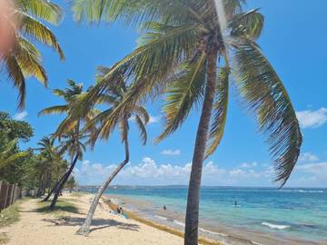 Gîte pour 2 personnes, avec jardin et vue dans Plage de l'Autre Bord