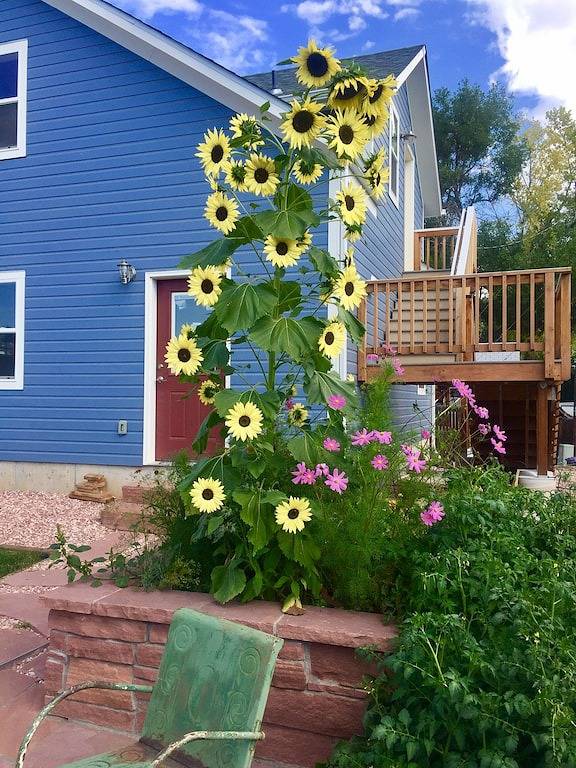 Ganze Wohnung, Lafayette Carriage House in der historischen Altstadt in Boulder County