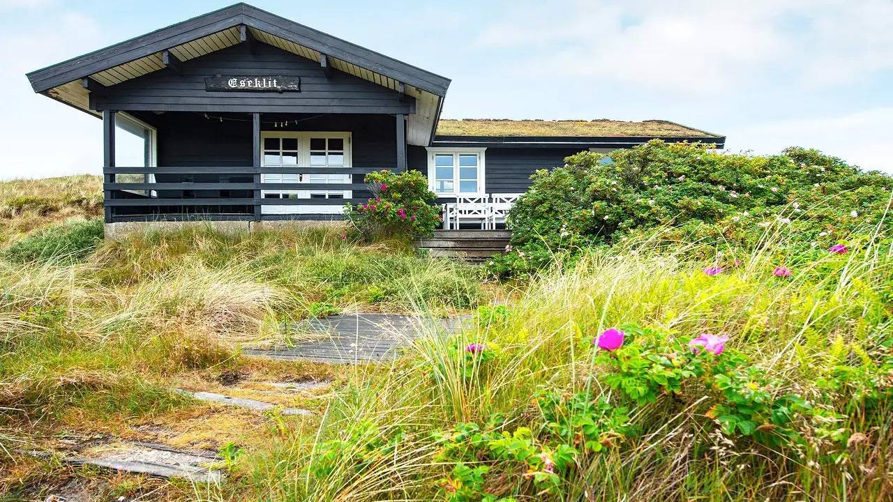 Ferienhaus für 6 Personen (71 m²) in Ringkøbing in Ringkøbing, Holmsland Klit