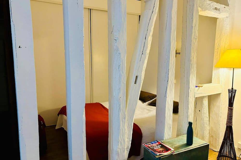 Apartamento entero, Barrio Latino, cerca rue Mouffetard, jardines, Sorbonne céntrico bien comunicado in París, Isla de Francia