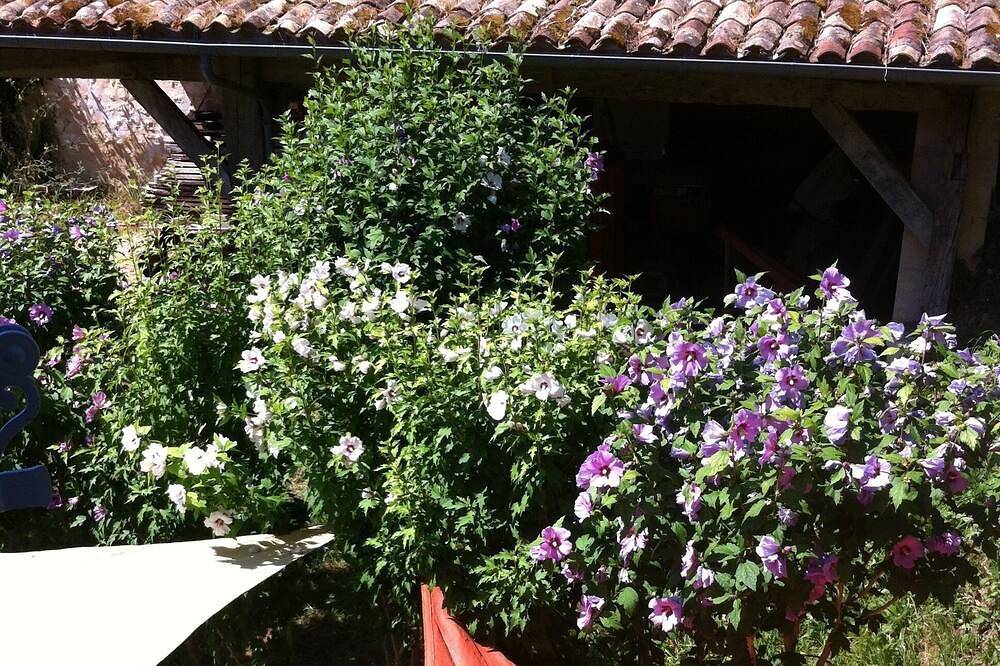 Entre Campagne et Océan, l'Ombrière accueille les amoureux de charme et nature. in Saint-Thomas-de-Conac, Région de Jonzac