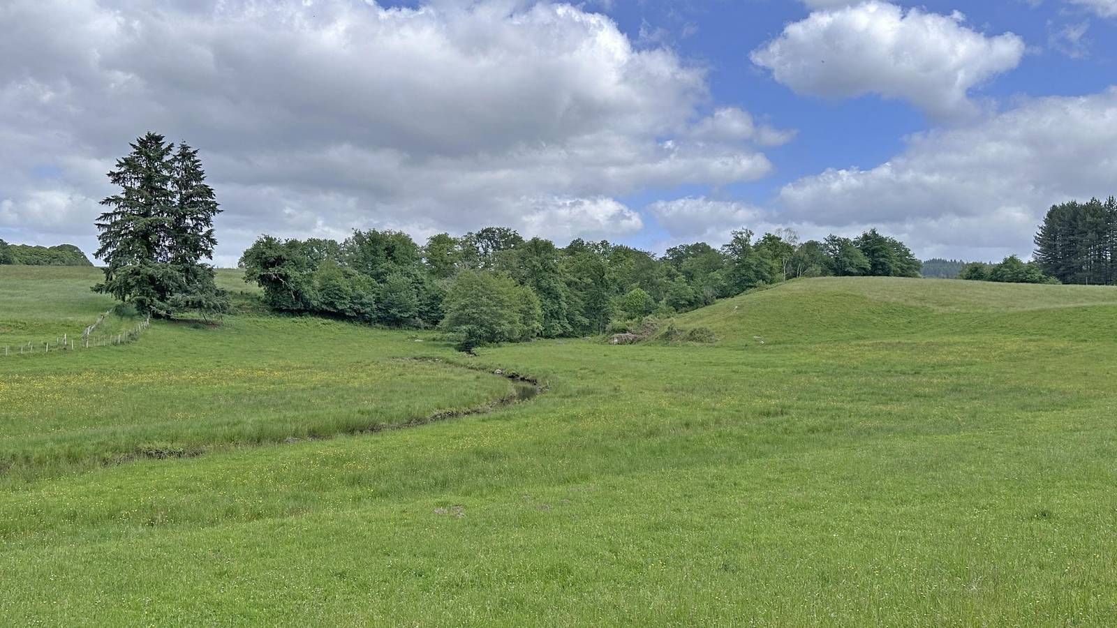 Le Loup de Chabannes in Compreignac, Bellac en omgeving