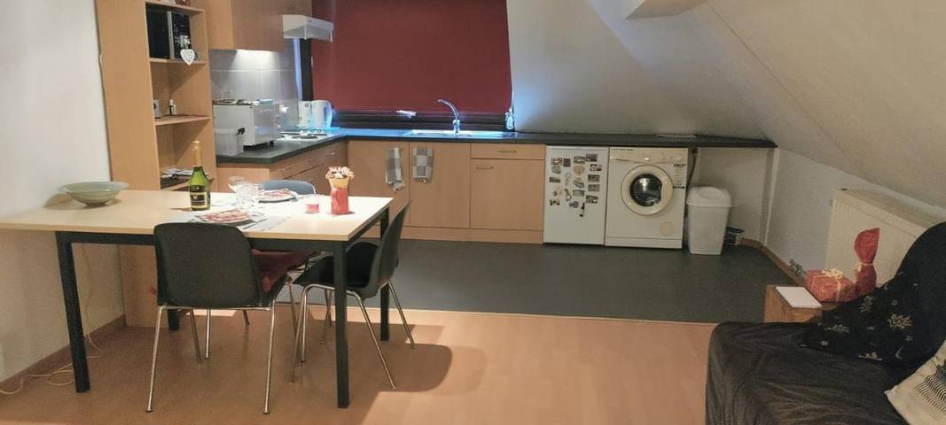 Gîte pour 3 personnes, avec vue à Brasschaat - 2