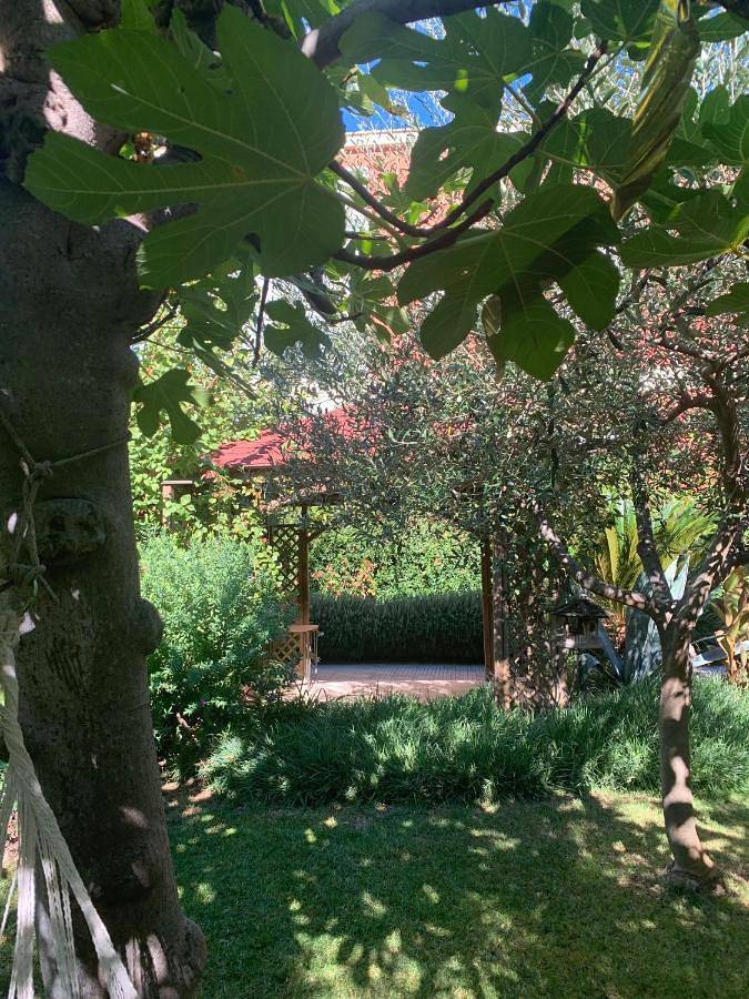 Location de vacances pour 4 personnes, avec jardin à Roseto degli Abruzzi - 4