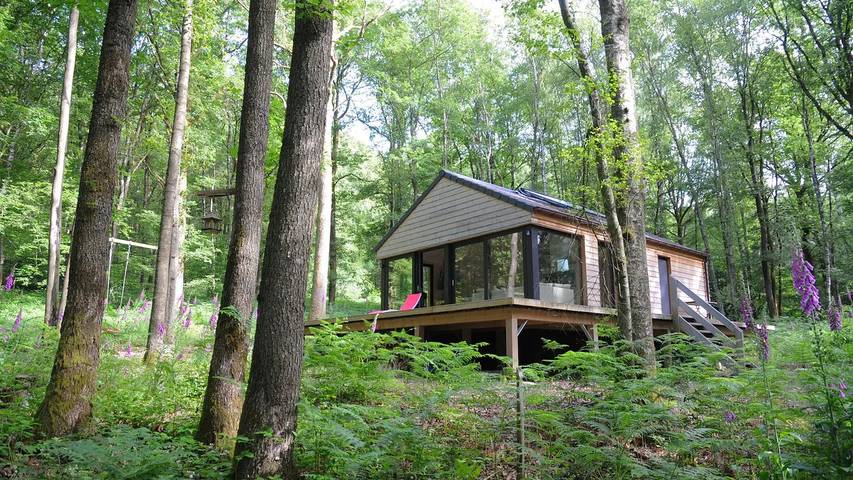 Location de vacances pour 5 personnes, avec jardin à Viroinval - 3