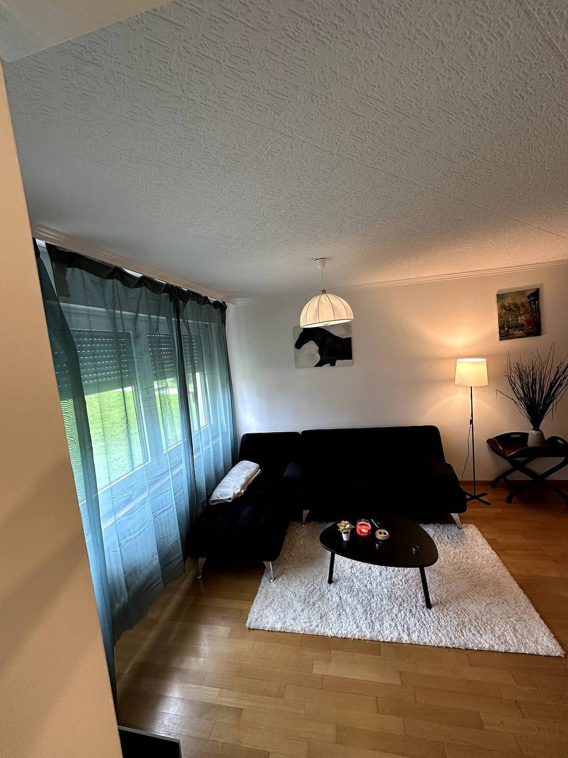 Ganze Wohnung, Ein möbliertes Zimmer in unserer gemütlichen Wohnung in Baden (Aargau-Basel), Aargau-Basel
