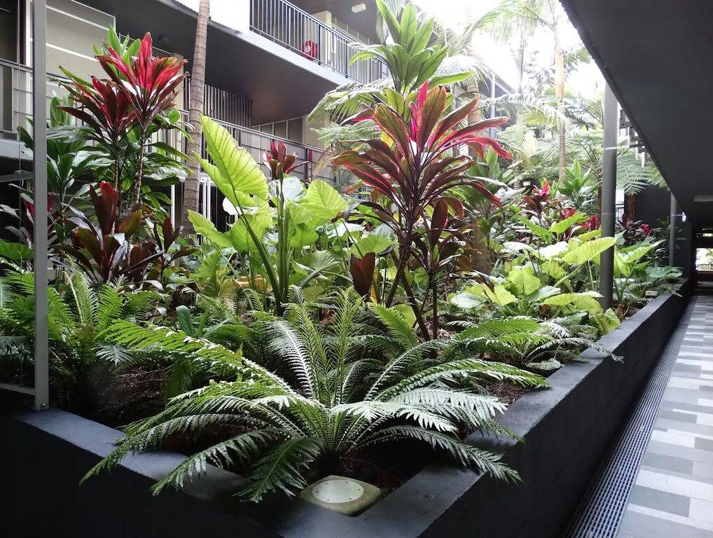 Ganze Wohnung, Luxus-Apartment mit 2 Schlafzimmern, nur wenige Minuten vom Strand entfernt. in Noosa Heads, Noosa