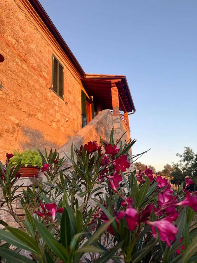 Privatzimmer für 3 Personen, mit Terrasse und Garten sowie Ausblick in Roccalbegna - 4