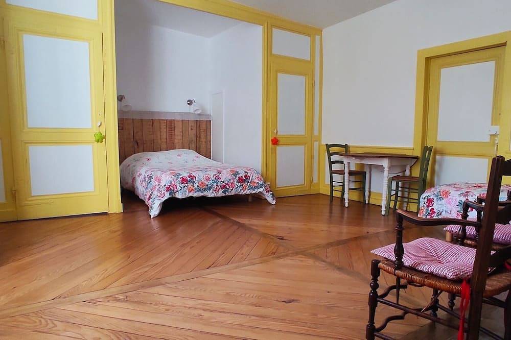 Entire apartment, 100 m2 apartment in an old Hotel Particulier of the eighteenth century in Salins-les-Bains, Jura