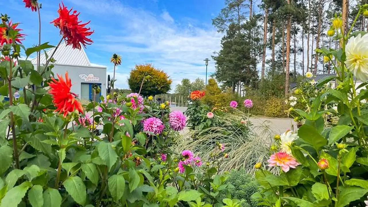 Ferienhaus für 4 Personen in Senftenberg in Senftenberger See, Senftenberg