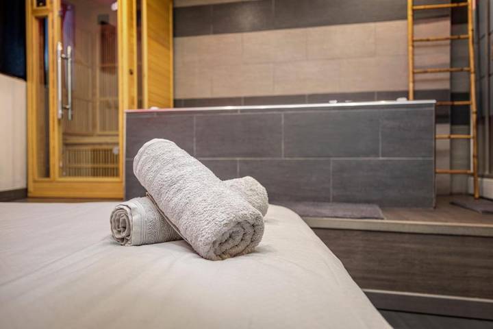 Gîte pour 2 personnes, avec sauna, animaux acceptés dans Saint-Étienne - 4