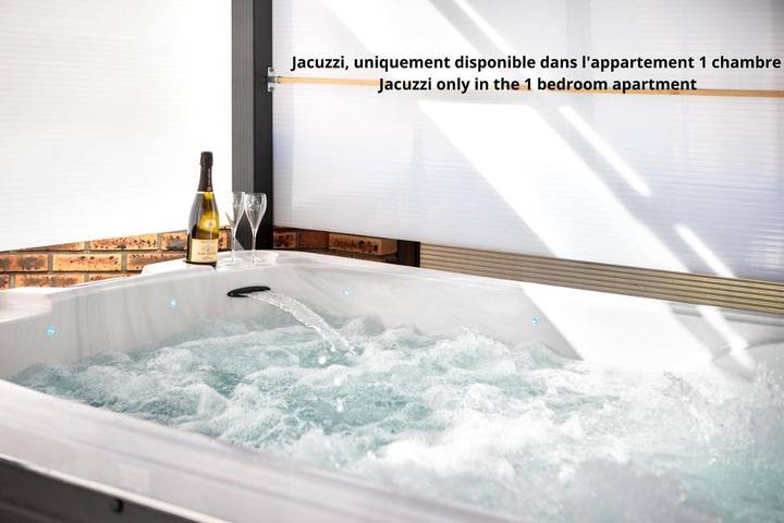 Gîte pour 3 personnes, avec jacuzzi et terrasse, animaux acceptés à Ingersheim - 3