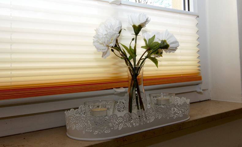 Ferienwohnung für 2 Personen, mit Balkon, mit Haustier in Dresden - 3