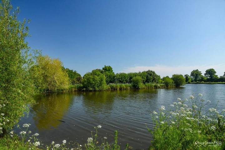 Location de vacances pour 14 personnes, avec Balcon et Terrasse ainsi que Piscine et Vue sur le lac à Saint-Christophe-du-Ligneron - 3