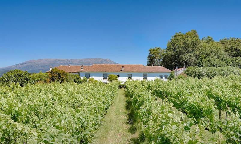 Location de vacances pour 3 personnes, avec Terrasse et Jardin ainsi que Piscine et Vue dans Lanheses