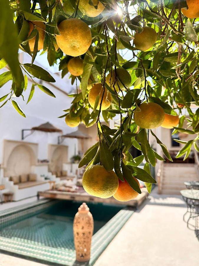 Chambre d’hôte pour 2 personnes, avec jardin et piscine ainsi que sauna et vue à Taroudant - 2