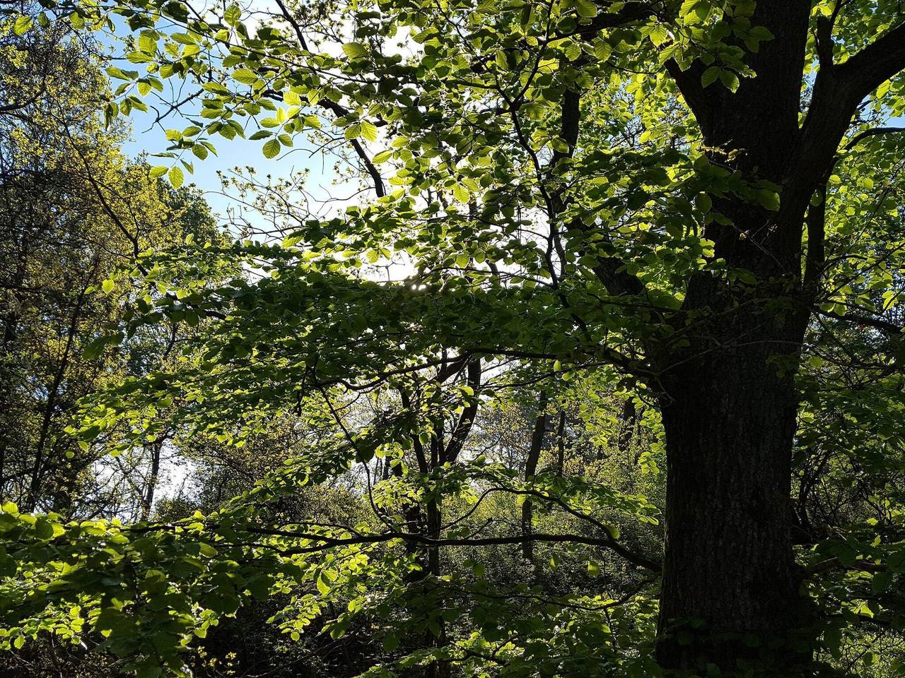 30 person ferie hjemme i Ebeltoft in Ebeltoft, Sør-Djursland