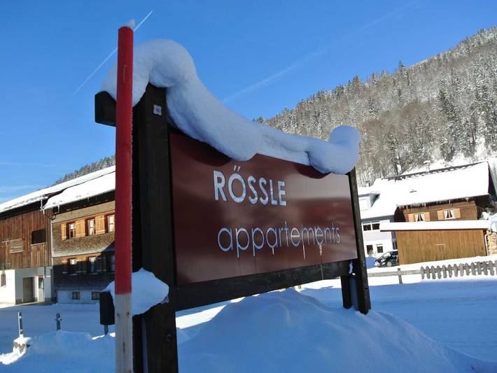 Ganze Ferienwohnung, Rössle Appartements in Bezau, Bregenzerwald - Appartement Ausblick in Bregenzerwald (Vorarlberg), Bezau
