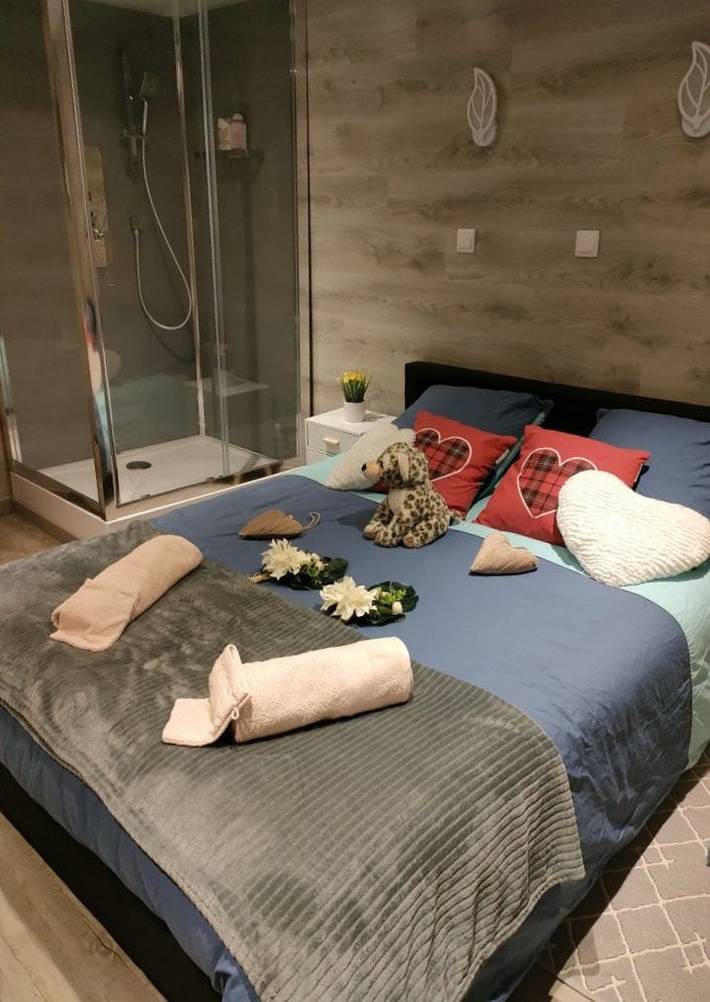 Chambre d’hôte pour 2 personnes, avec piscine et jardin dans les Alpes-de-Haute-Provence - 2