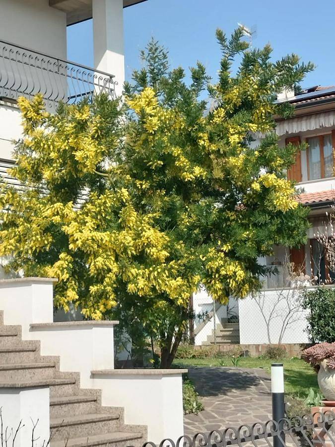 Location de vacances pour 2 personnes, avec jardin et vue, animaux acceptés à Imola - 4