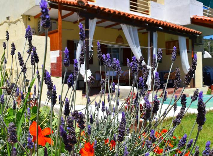 Maison d’hôte pour 3 personnes, avec Balcon et Terrasse ainsi que Jardin et Vue dans Skiathos