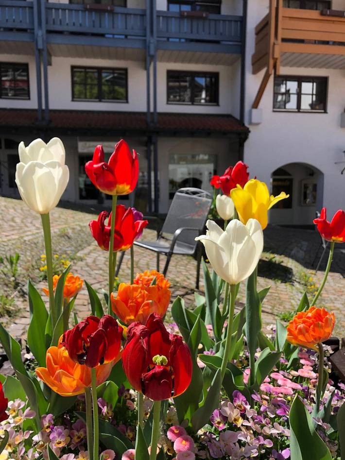 Apartamento entero, Appartement am Brunnenplatzl mit Bademantelzugang - Appartement am Brunnenplatzl in Bad Griesbach im Rottal, Bayerische Golf und Thermenland